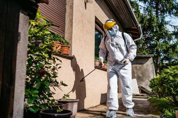 Best Rodent Control Near Me  in Georgetown, CT