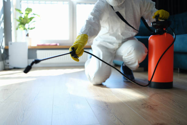 Best Local Pest Control Services  in Georgetown, CT