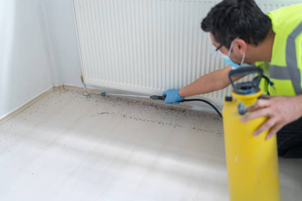Best Bed Bug Extermination  in Georgetown, CT